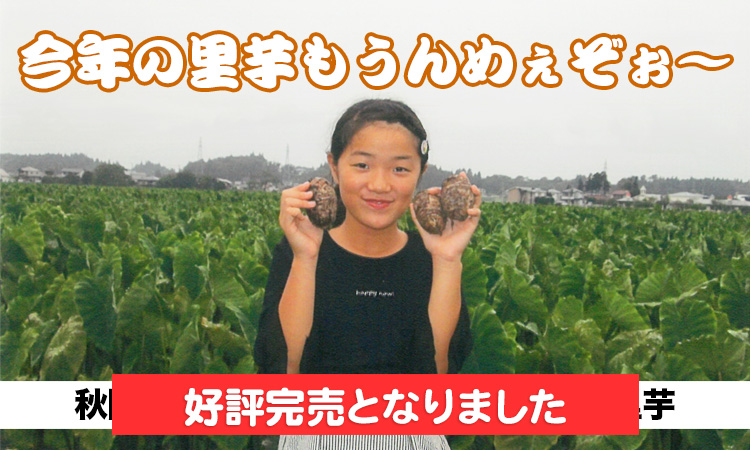 二子里芋完売